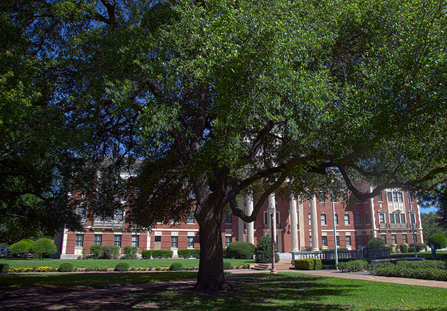 Pat Neff Hall - early 1940s - Now