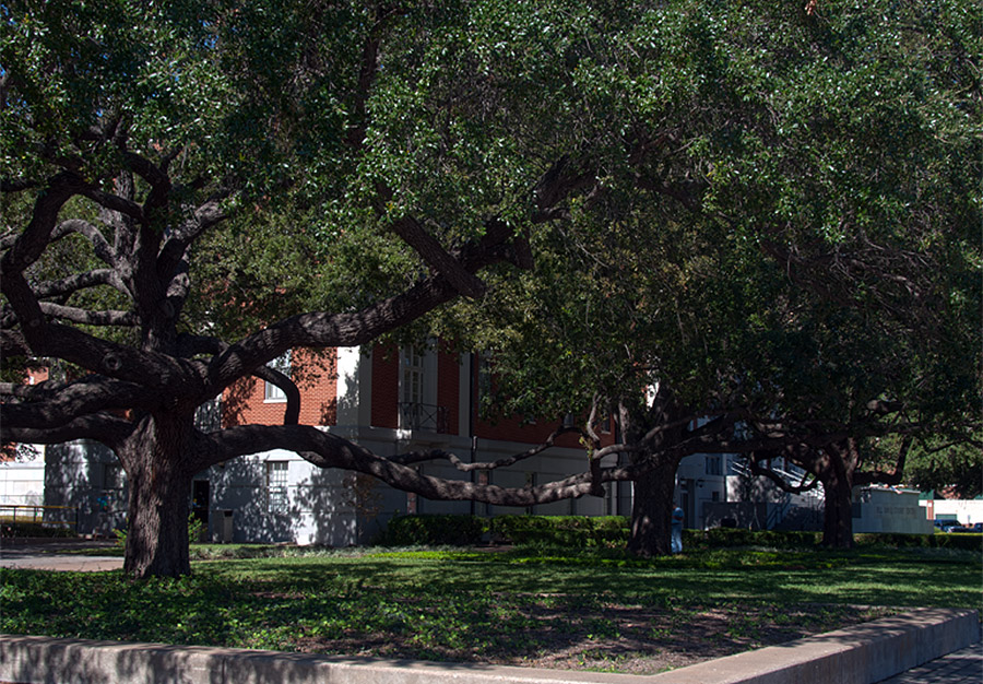 Then & Now About Baylor Baylor University