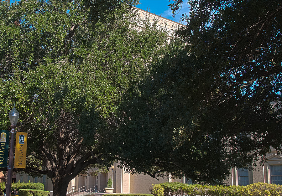 Tidwell Bible Building - 1954 - Now