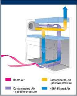 Biosafety Cabinet Air Flow