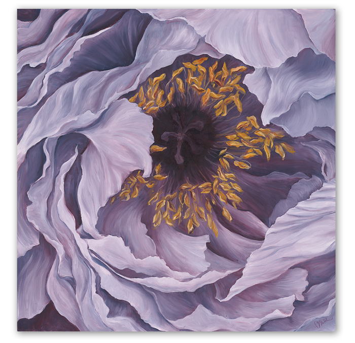 poppy