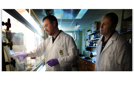 Photo - Science (md)