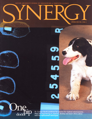 Synergy 2004