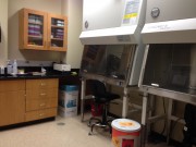 Cell Culture Facility