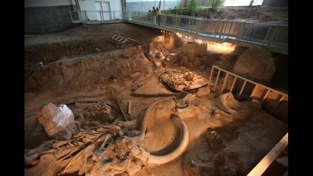 Full-Size Image: Mammoth dig center