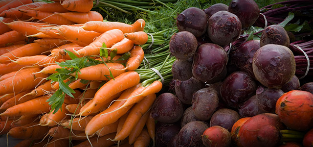 Ending Hunger in America