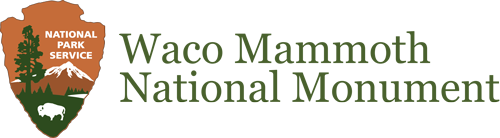 waco-mammoth-national-monument