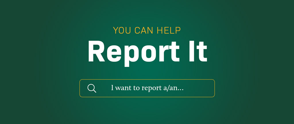 You can help Report It: find reporting mechanisms here for a variety of concerns