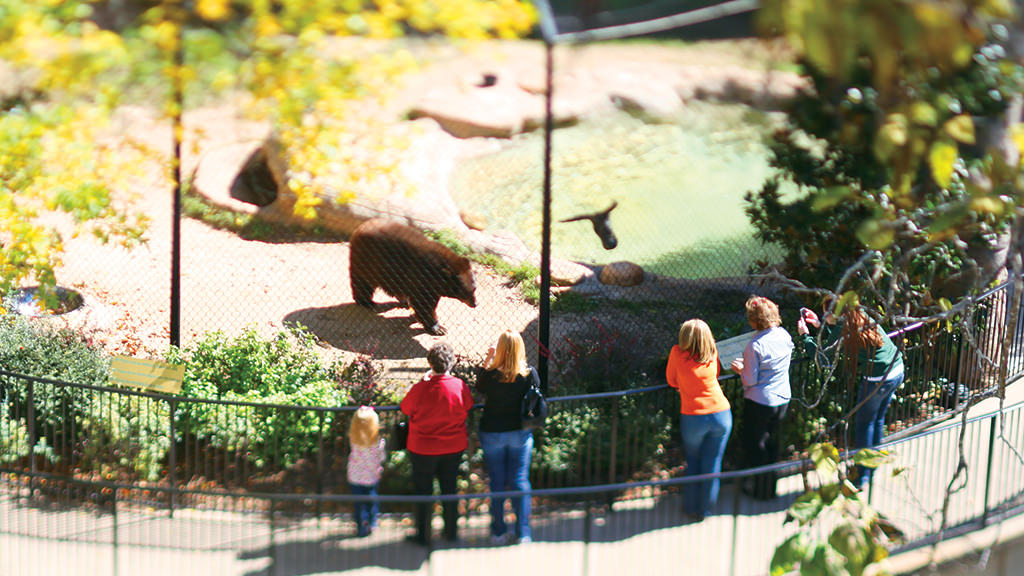 Fostering a Strong Community Giving to Baylor Baylor University