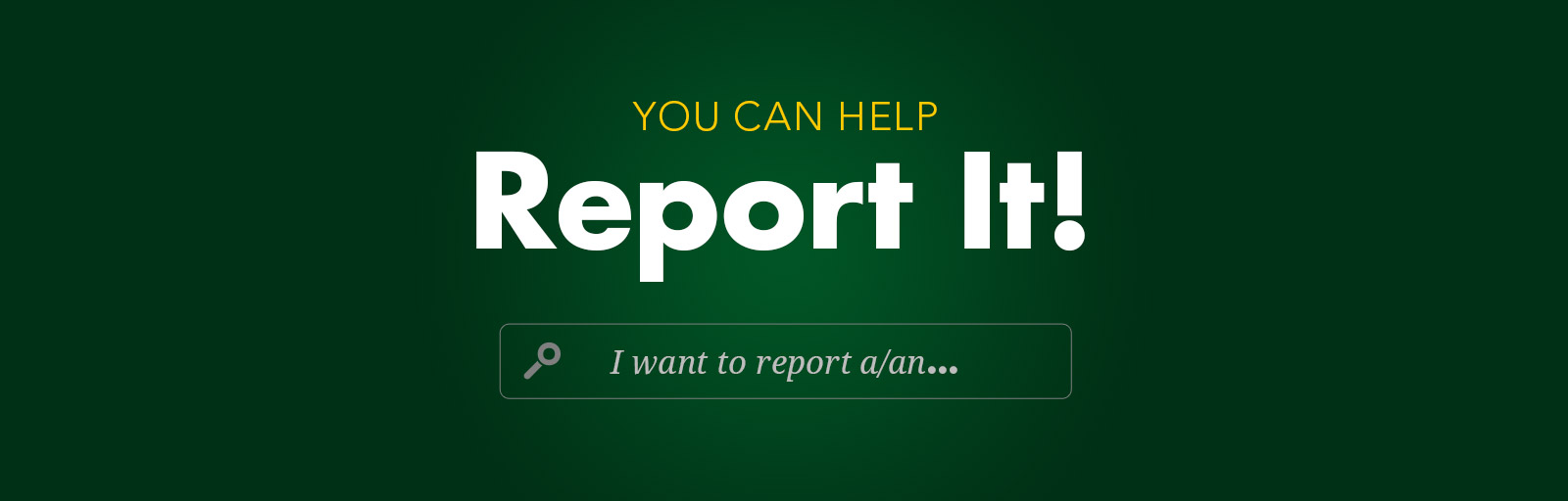 Report It