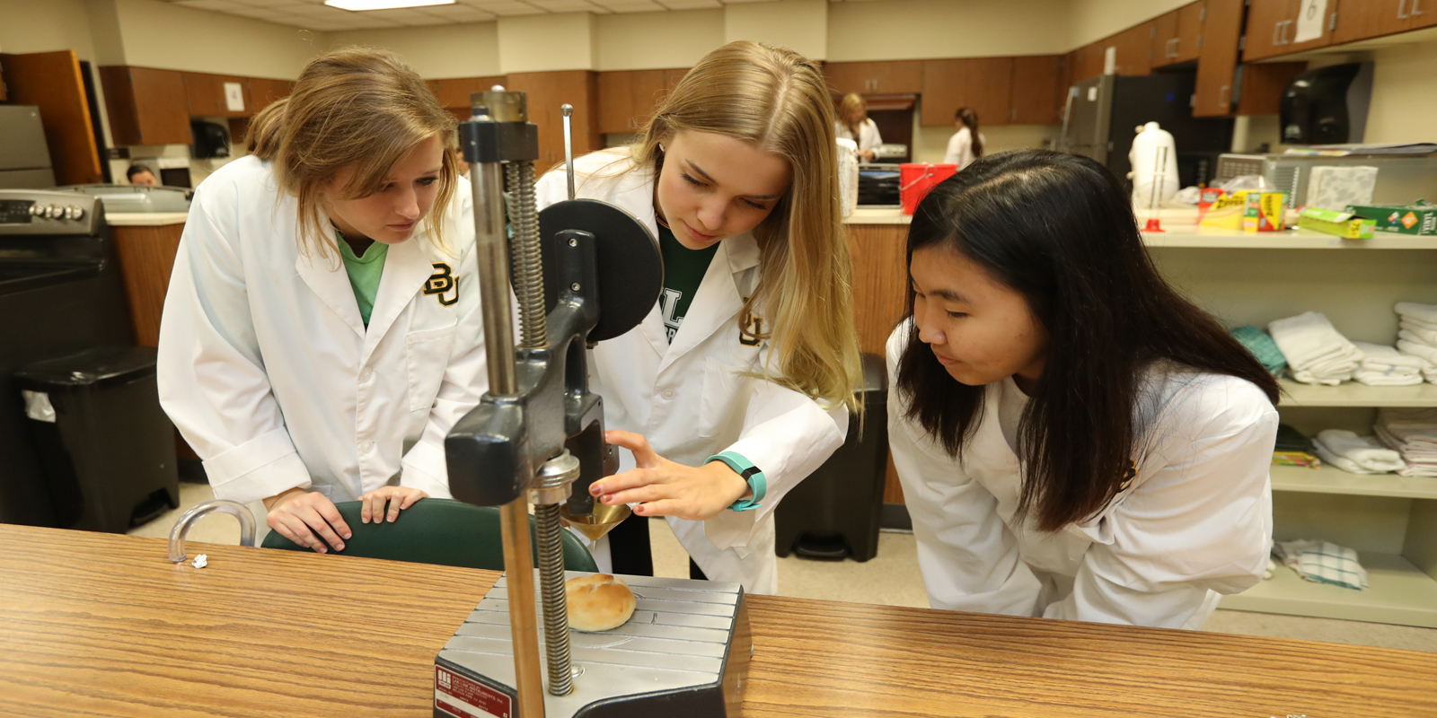 Students in laboratory study together