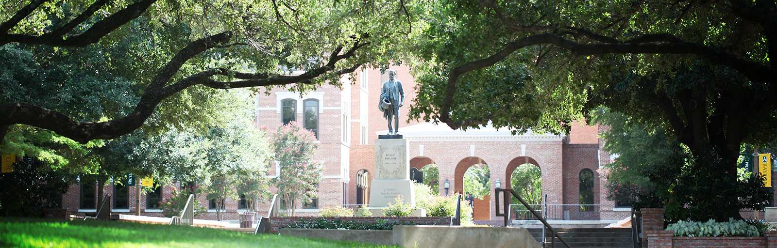 Ignite baylor bopqedogs