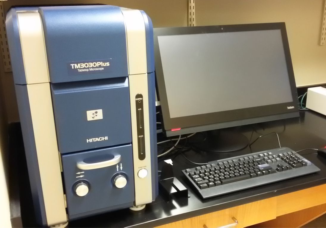 tabletop SEM