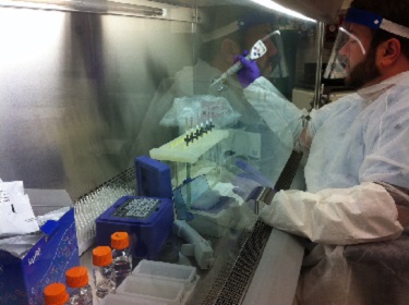 Dr. Muehlenbein at work in the lab