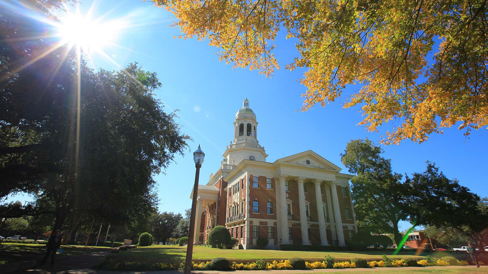 Fall brings wonderful color to campus - here adorning Pat Neff Hall with Baylor gold.