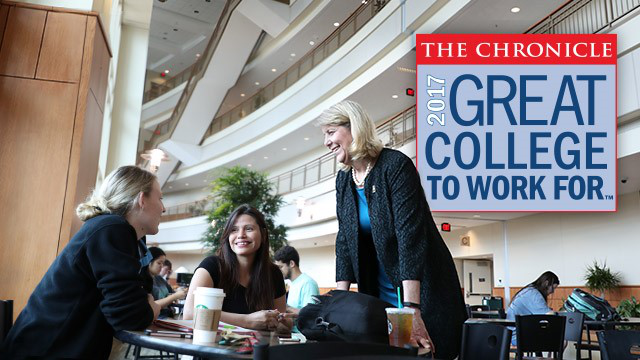 Great Colleges to Work For 2017 logo