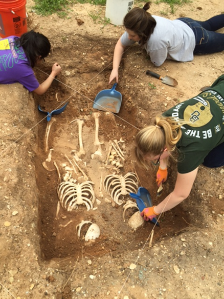 Forensic toxicology dissertation ideas picture