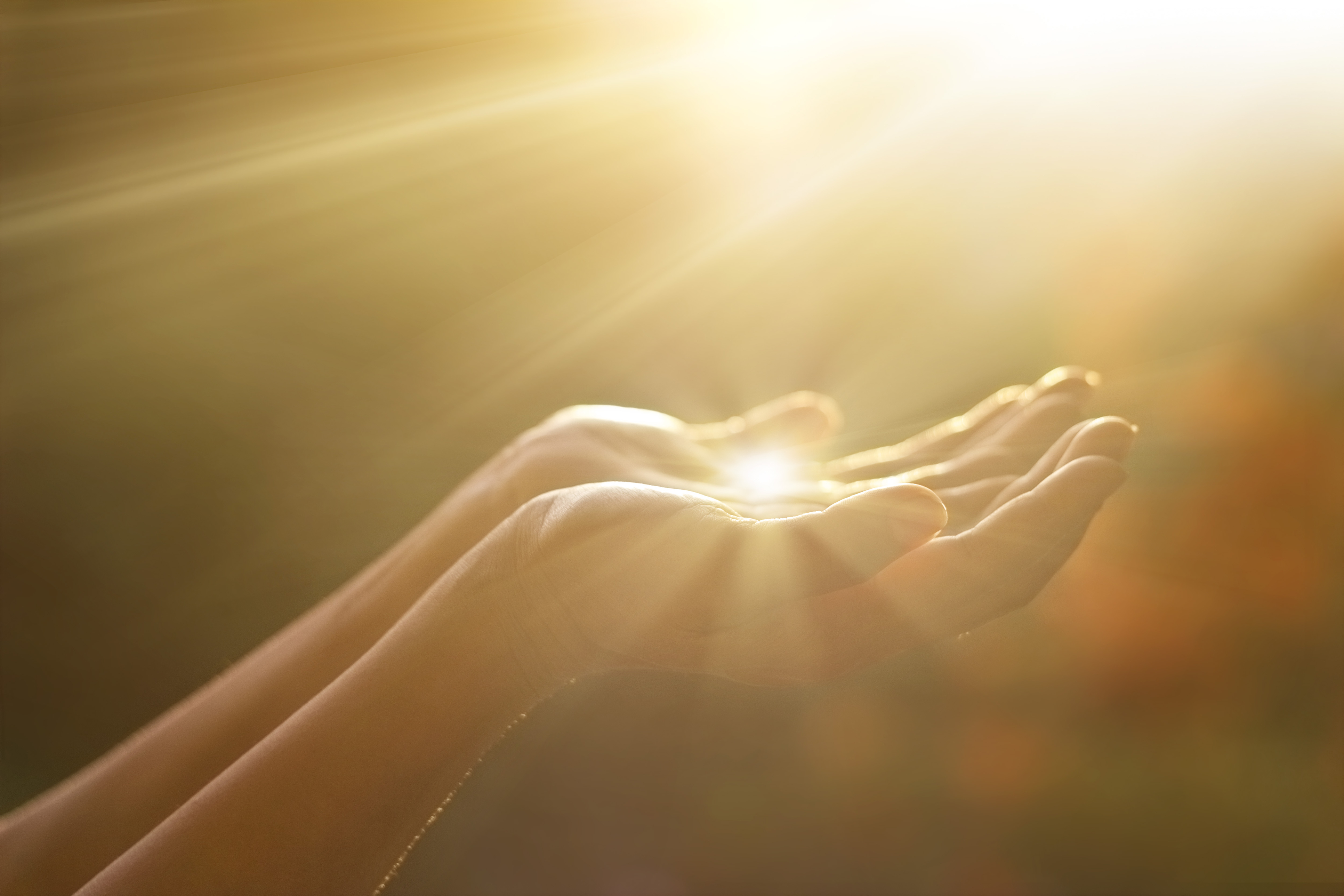 Stock photo of hands raised in light