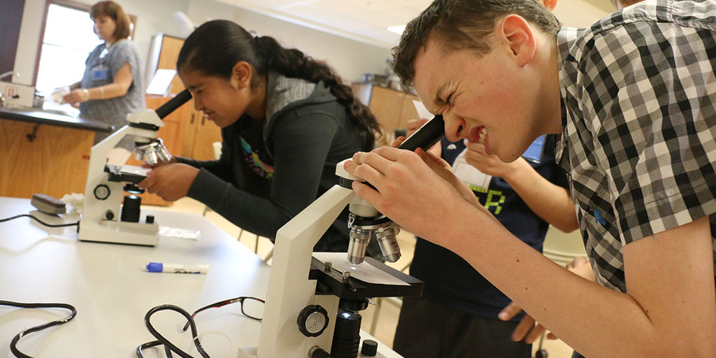UYP students using microscops