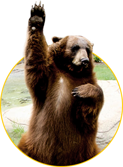 bear program baylor university schedule for college