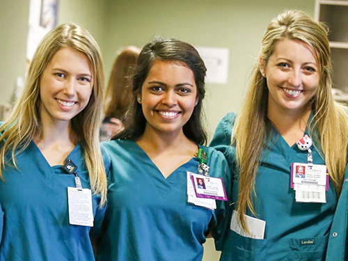 DNP - Family Nurse Practitioner