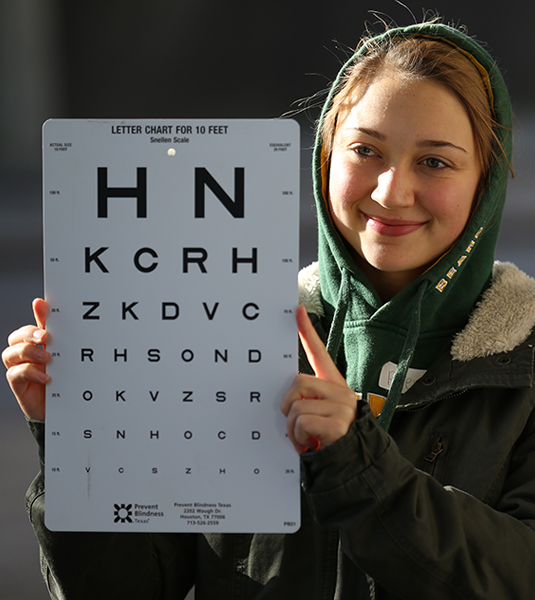 apply kelly online services Baylor Department Public  University of Health