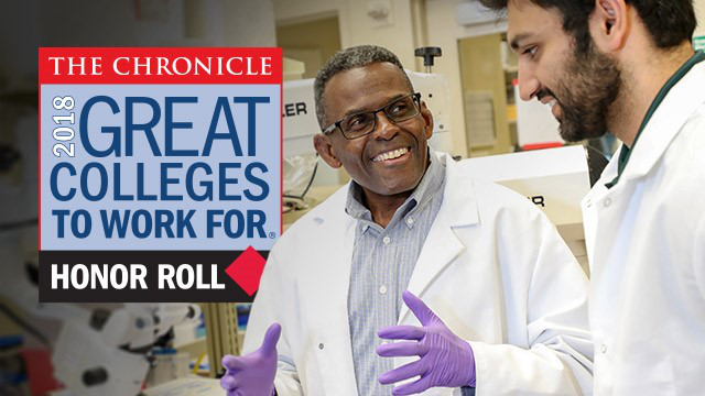 Great Colleges 2018