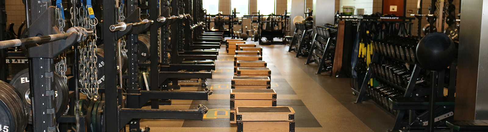 CAATE Outcomes Health Human Performance And Recreation Baylor CAATE Outcomes Health Human Performance And Recreation Baylor