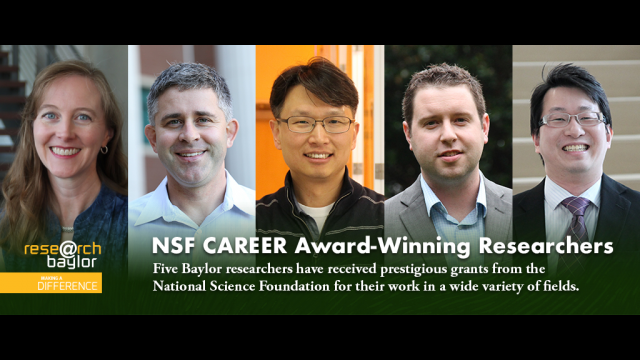 NSF CAREER Awards