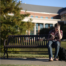 Pre-Law Program