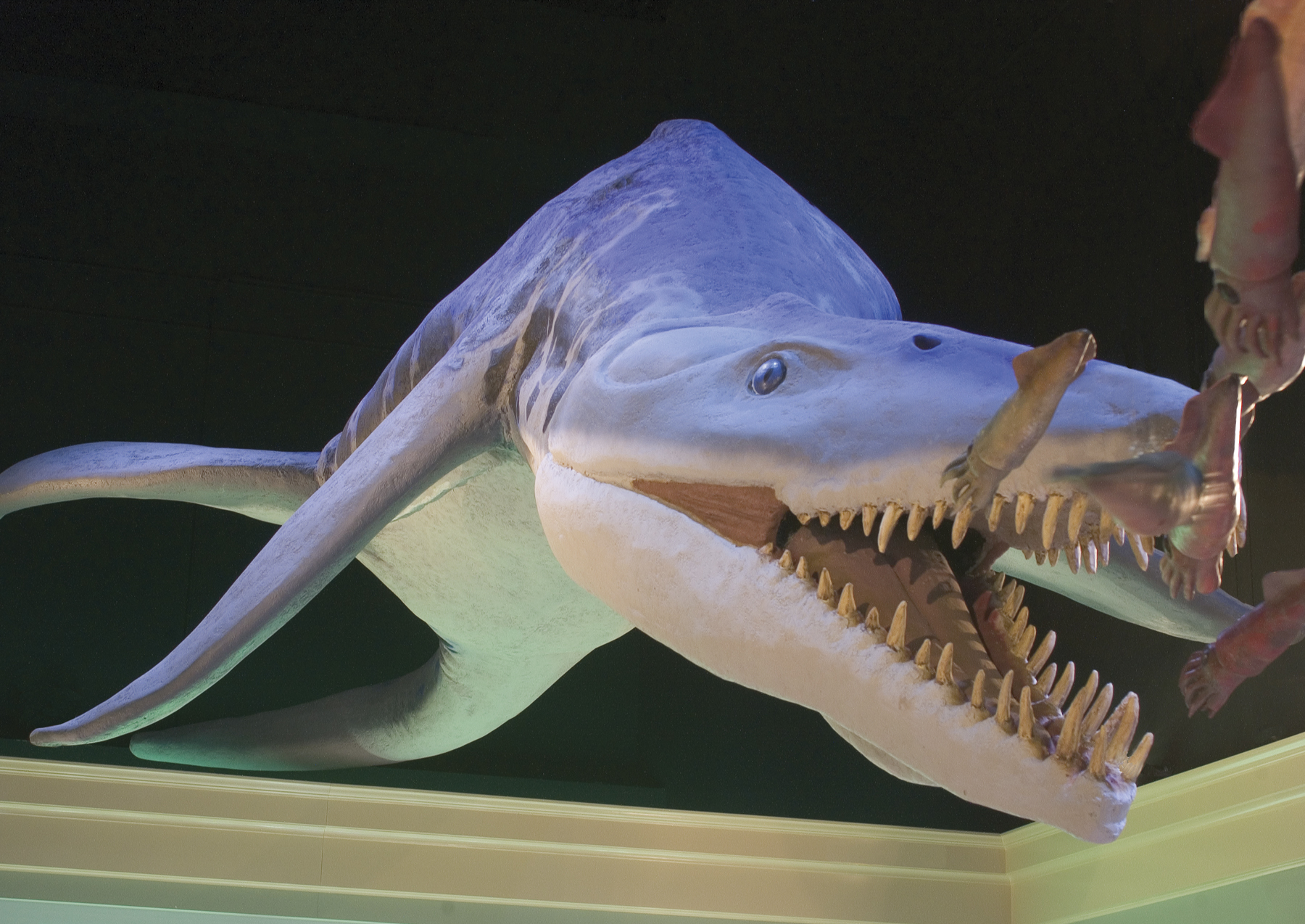 Baylor’s Mayborn Museum Accredited by American Alliance of Museums Media and Public Relations