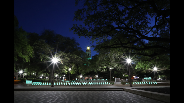 Campus Light Up