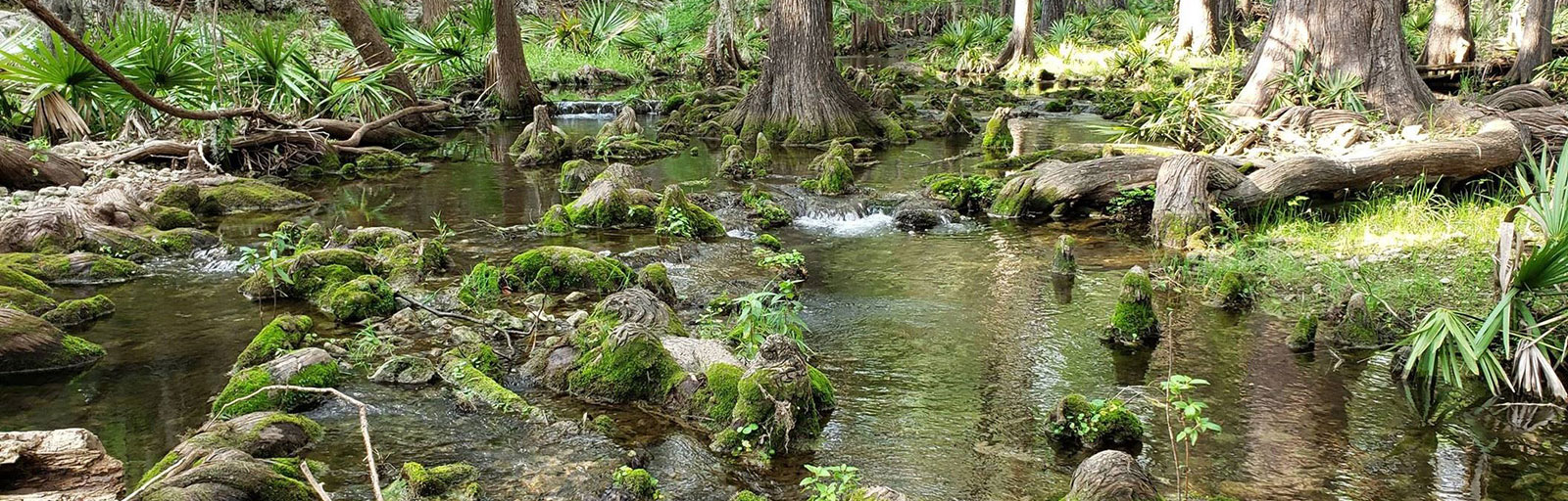 Graduate | Department of Biology | Baylor University