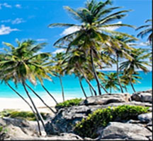 Barbados Program Image