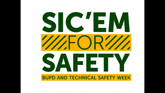 Sic em for Safety Technical Security