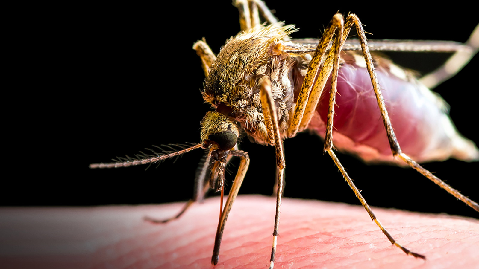 Baylor University A Nationally Ranked Christian University - 