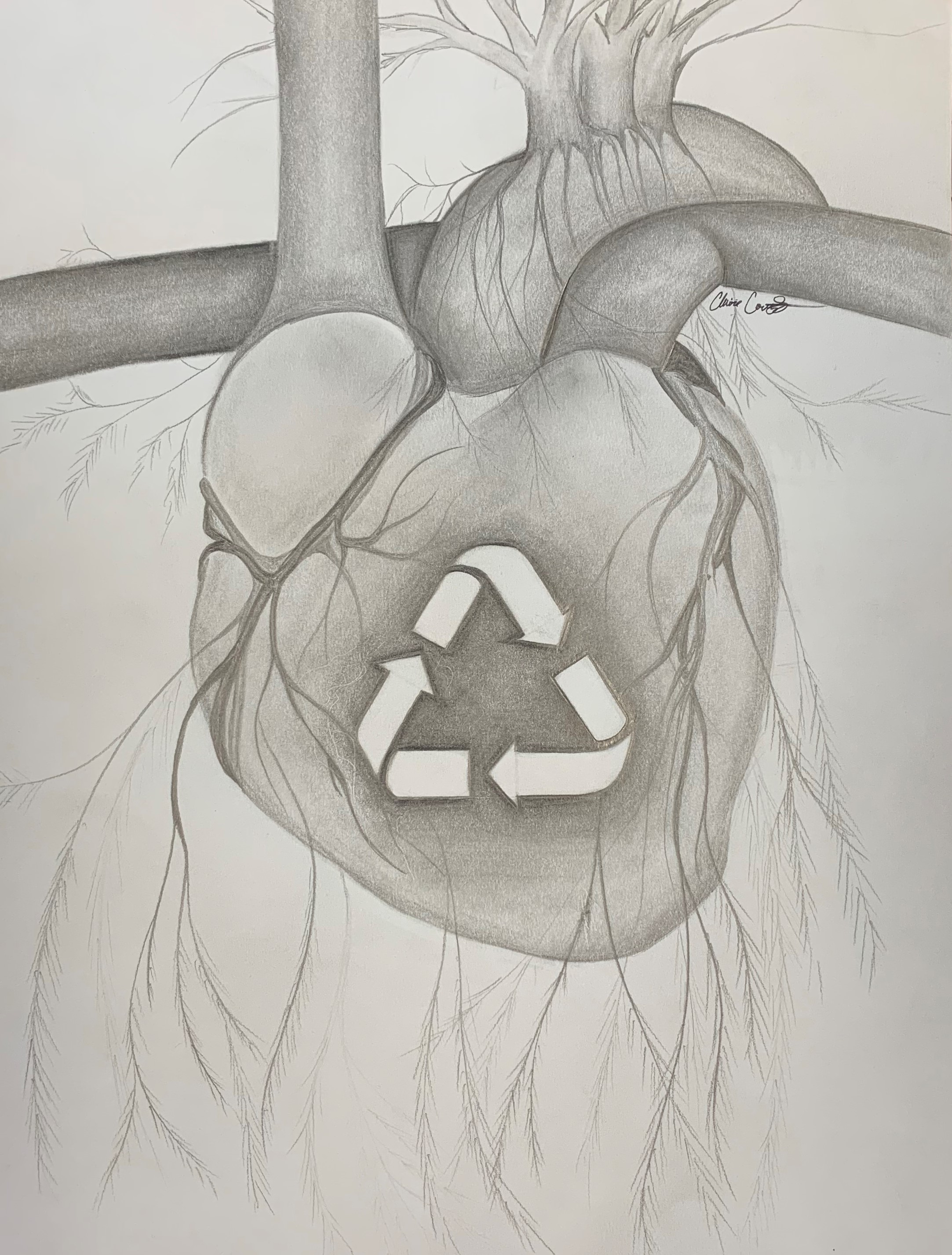 Heart Recycling