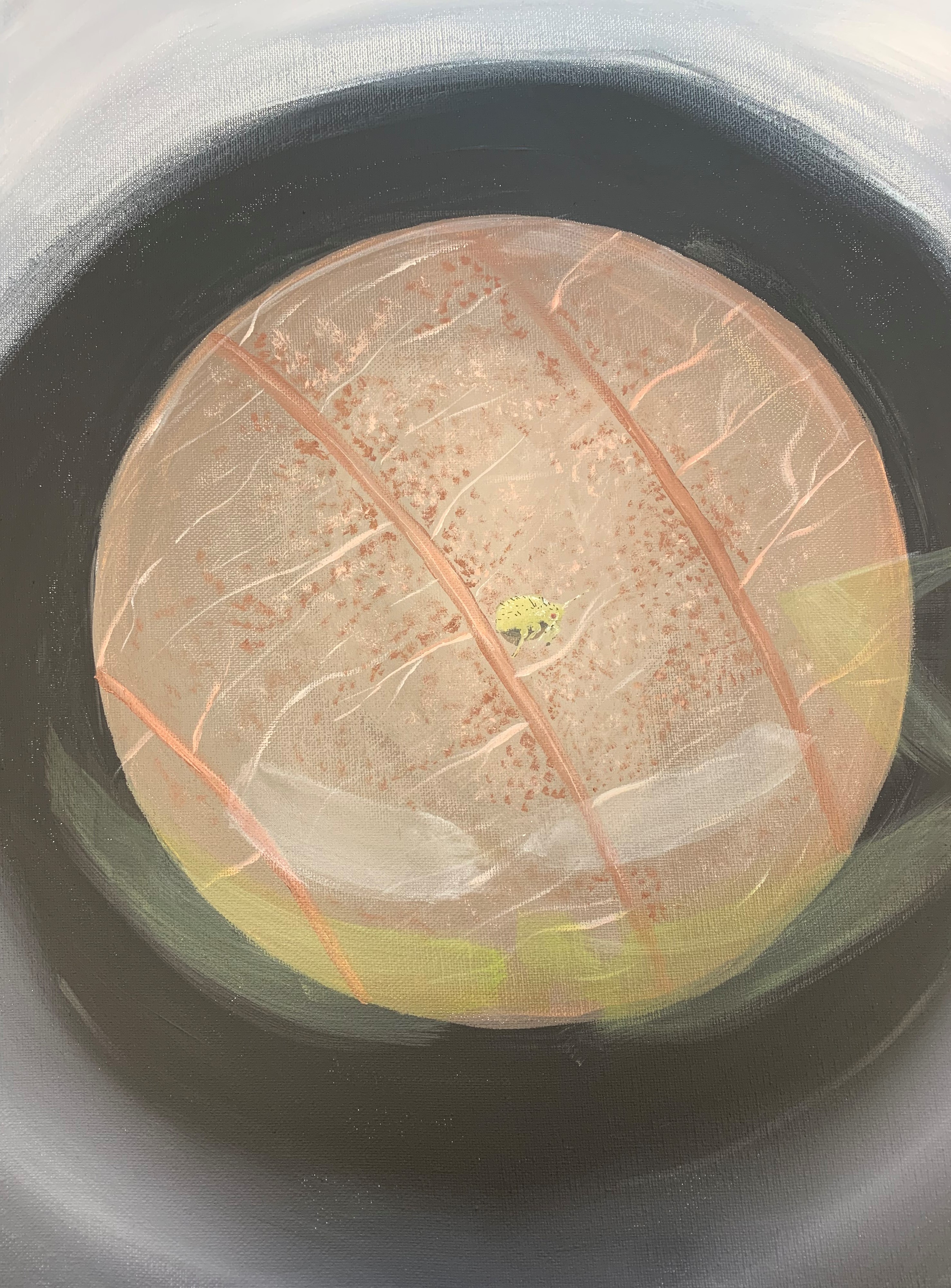 The Friend Under My Microscope