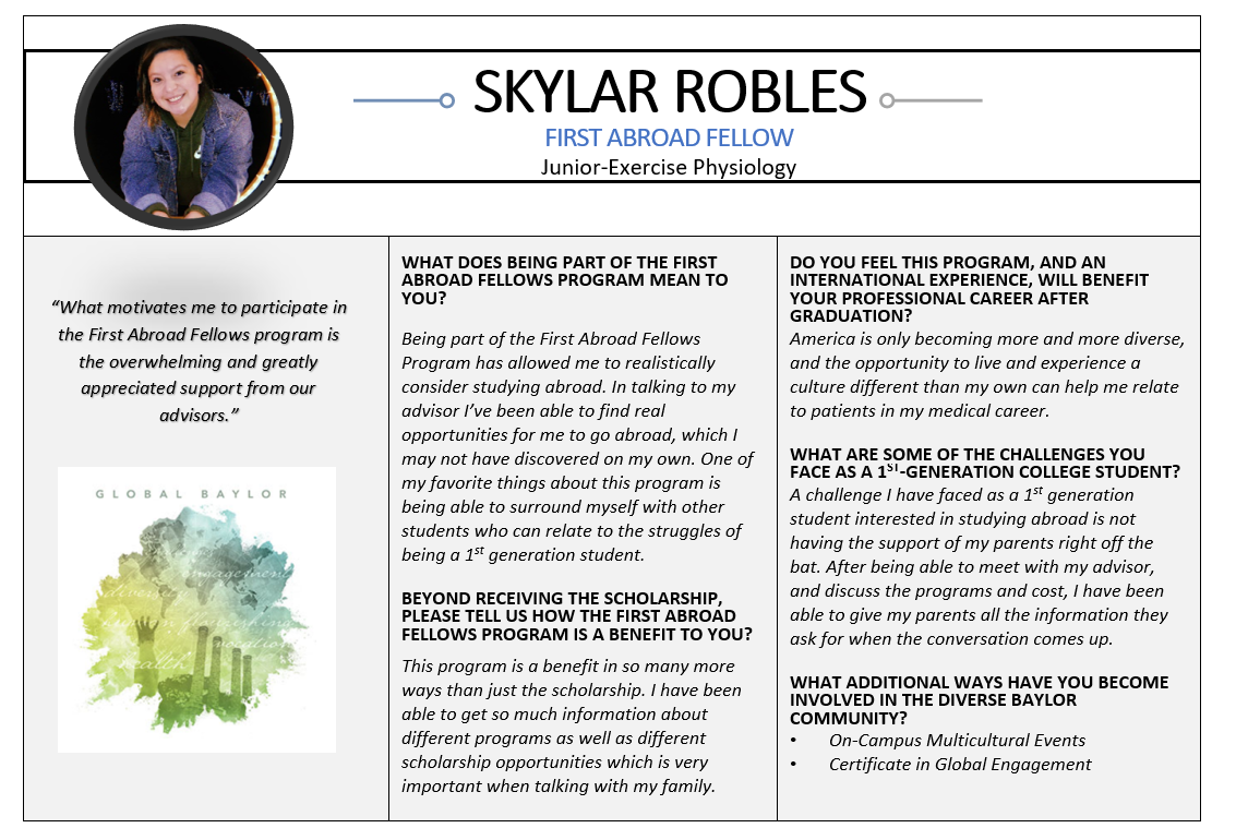 About the Global Baylor Initiative