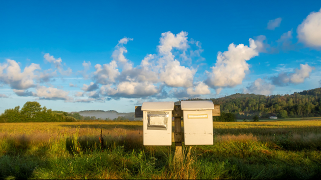 Mailboxes