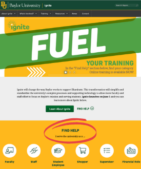Ignite website screenshot