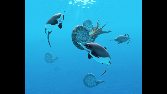 Full-Size Image: Ichthyosaur