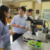 Nano-Focused