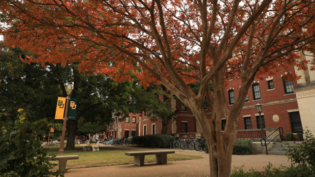 Honors College