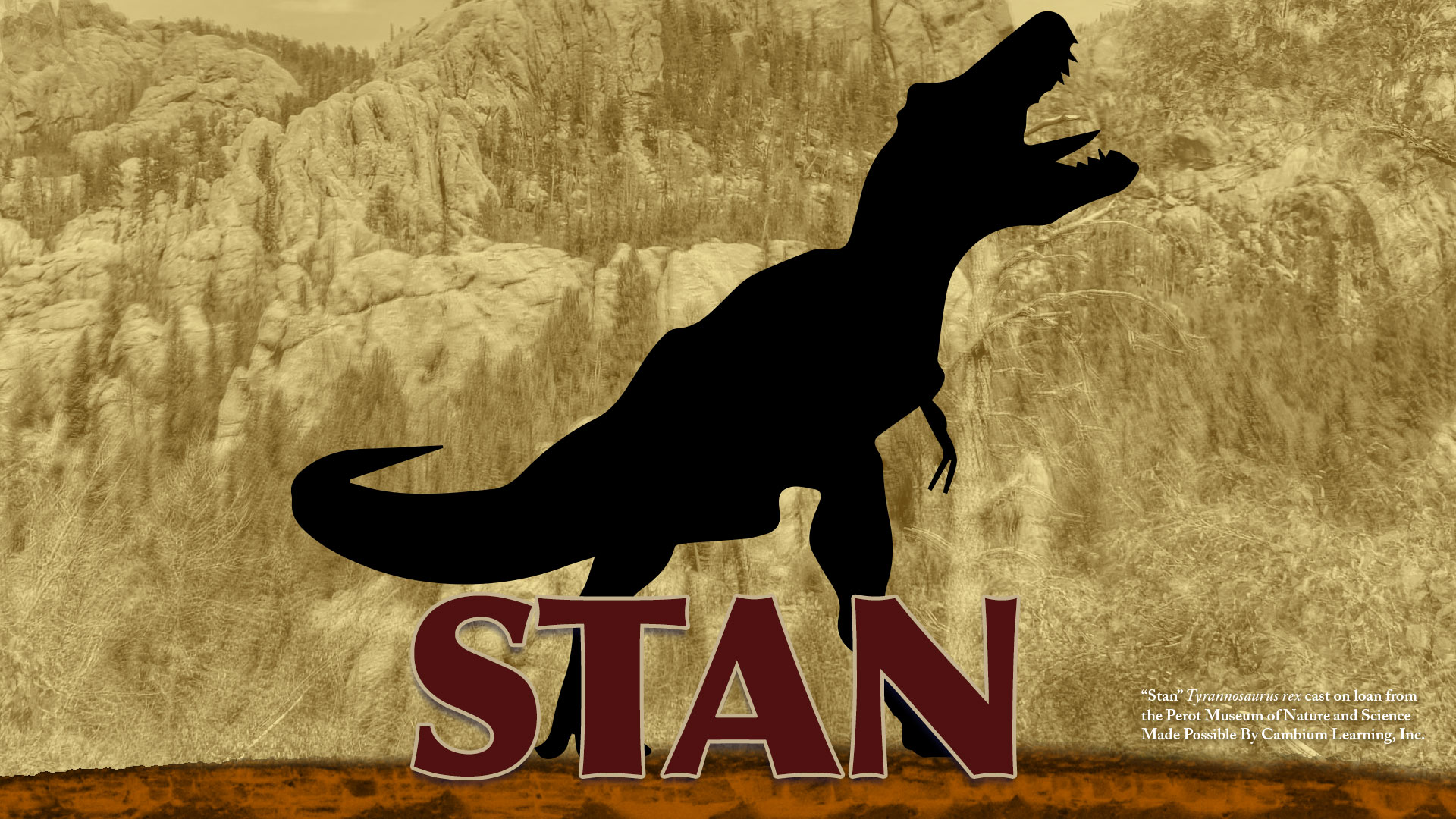 Stan the T. rex