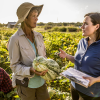 Upstream Approaches to Improve Health Outcomes
