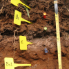 New Soil Analysis Method Shines Light on Climate