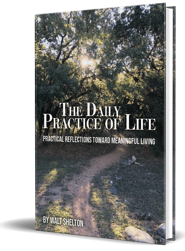 Book cover of The Daily Practice of Life