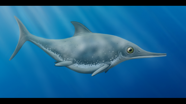 Newswise: Prehistoric ‘Sea Dragon’ Discovered on the English Channel Coast Is Identified as a New Species