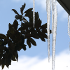 Winter Storm Community Relief Fund